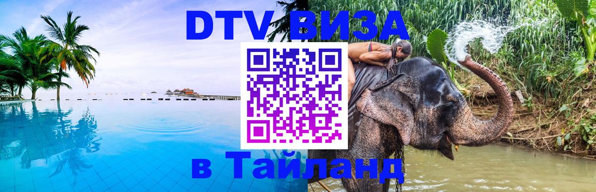 Оформление DTV визы под ключ: стоимость и тарифы, только загранпаспорт - 